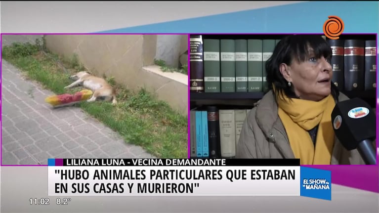 Primer juicio por la matanza de más de 500 animales