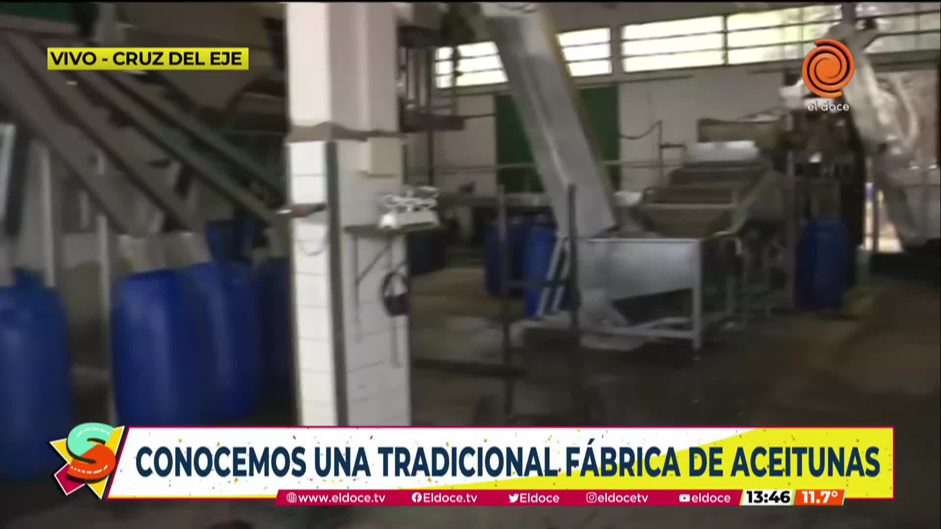 Una recorrida por una fábrica de aceitunas