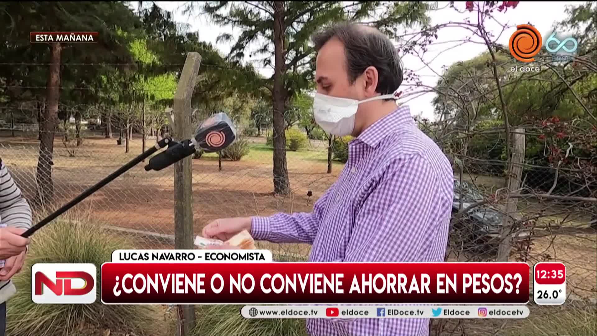 Ahorro en pesos o en dólares: los consejos de un economista