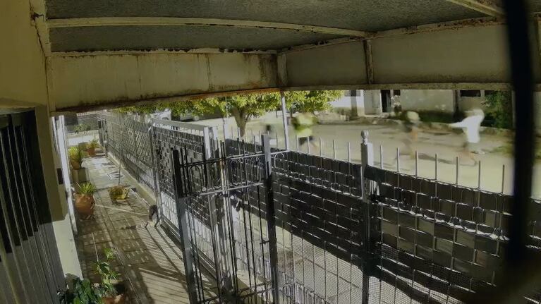 Video: entre 5 y a los piedrazos intentaron robarle su bicicleta