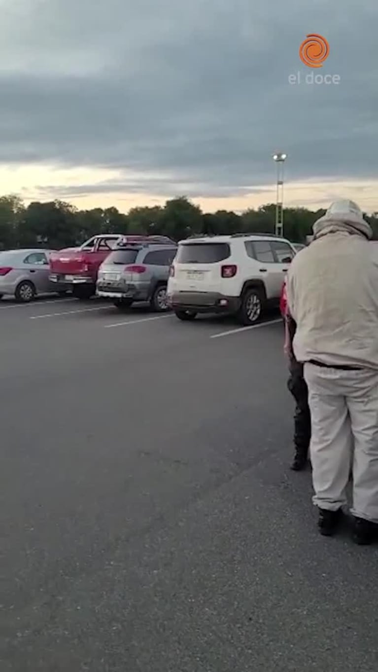 El Centro de Convenciones se llenó de abejas por un apicultor