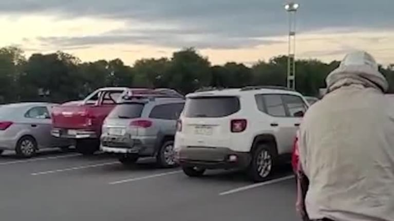 El Centro de Convenciones se llenó de abejas por un apicultor