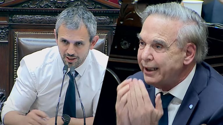 El enojo de Pichetto con Martín Menem en el debate por la Ley Bases: “No me da bola”