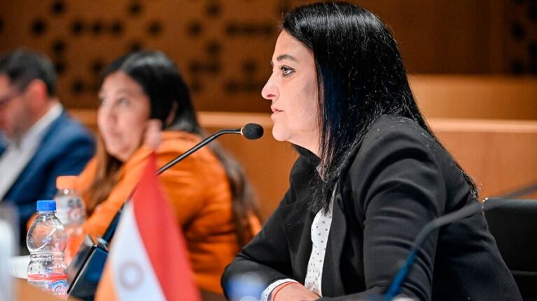 Soher El Sukaria: “La Ley de Medios generó una estructura militante”