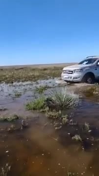 Camioneta empantanada 