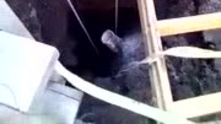 El rescate de una mascota en Villa Libertador
