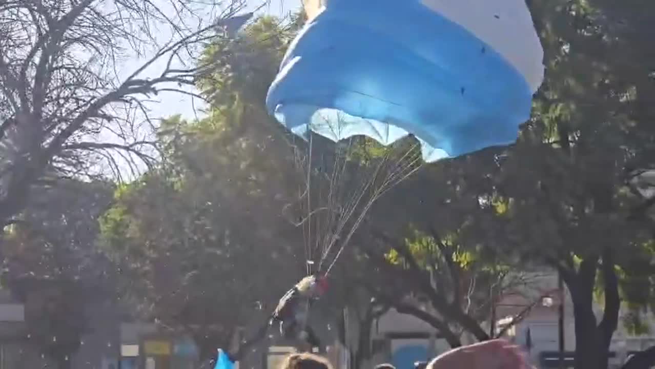 Paracaidista cayó en las ramas. 