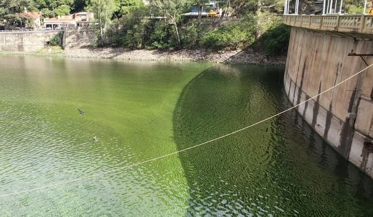 La respuesta del Gobierno de Córdoba por la contaminación en el lago San Roque