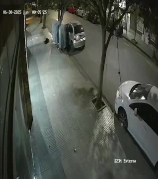 "Ladrón pescador": se robó las luces de un local con una insólita técnica