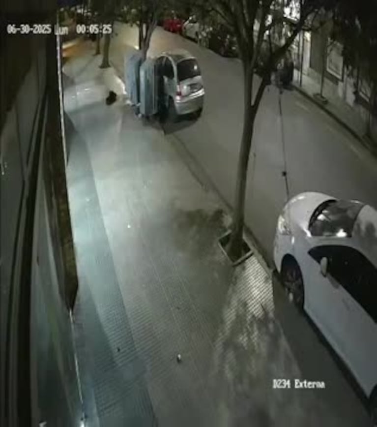 Video Placeholder