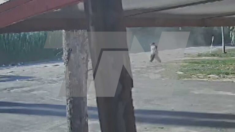 Video Placeholder