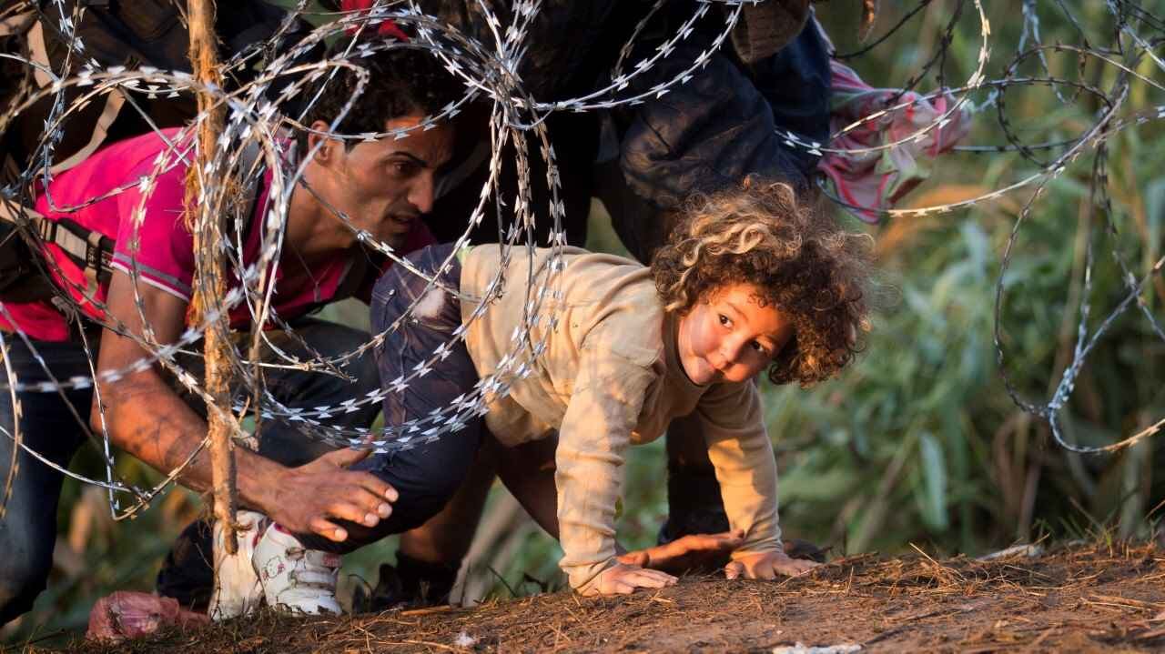 Hungría está construyendo una valla a lo largo de su frontera con la vecina Serbia para obstaculizar la inmigración. Foto: AP