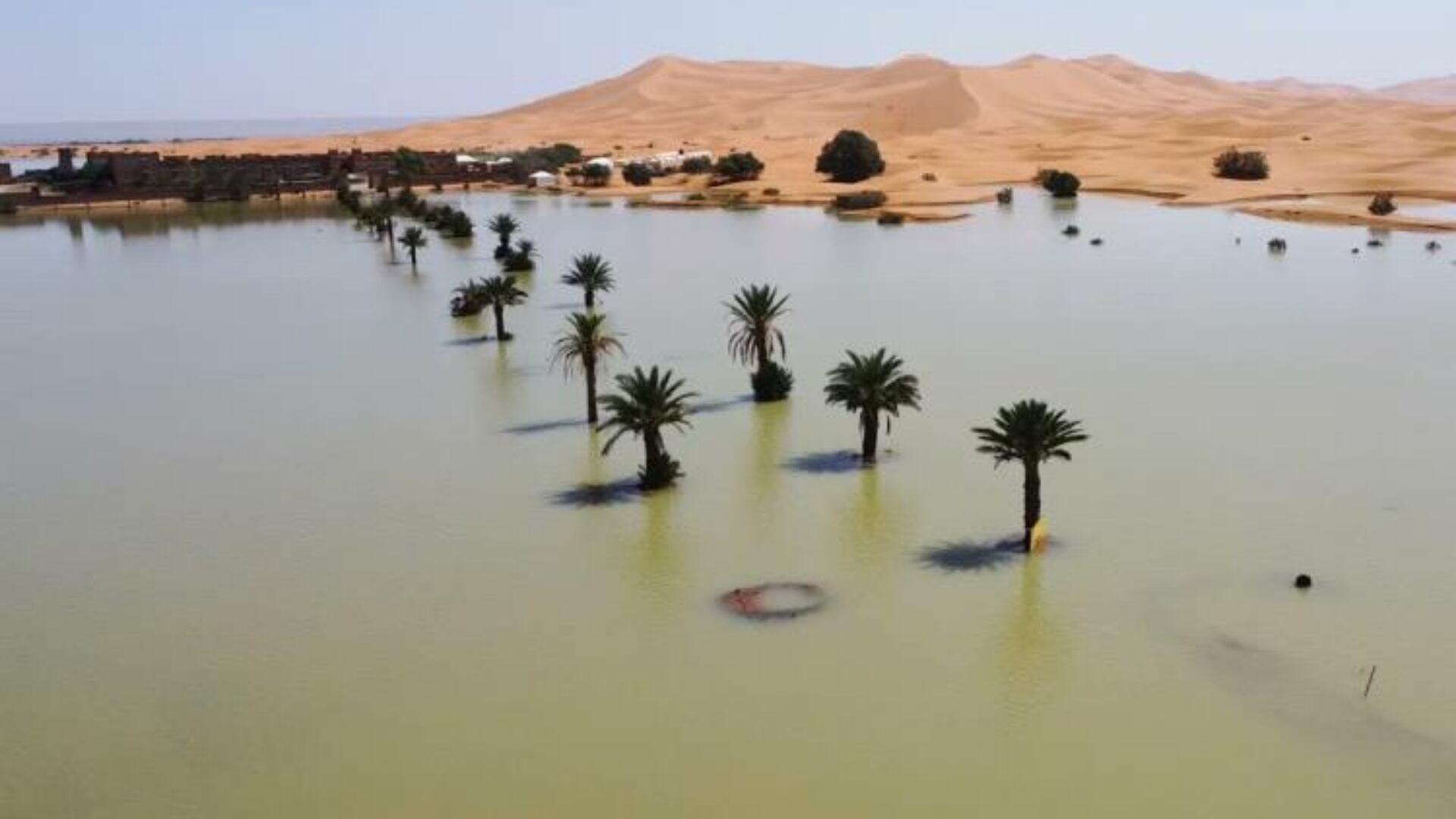 Impactantes fotos del Sahara inundado.