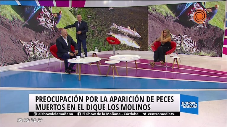 Impresionante mortandad de peces en Los Molinos