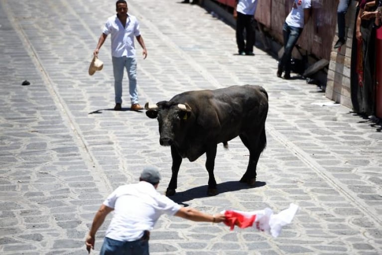 Impresionante: un toro embistió por la espalda a un hombre