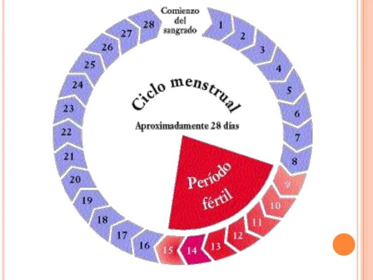 Impulsan la “ley de la menstruación” en el Congreso