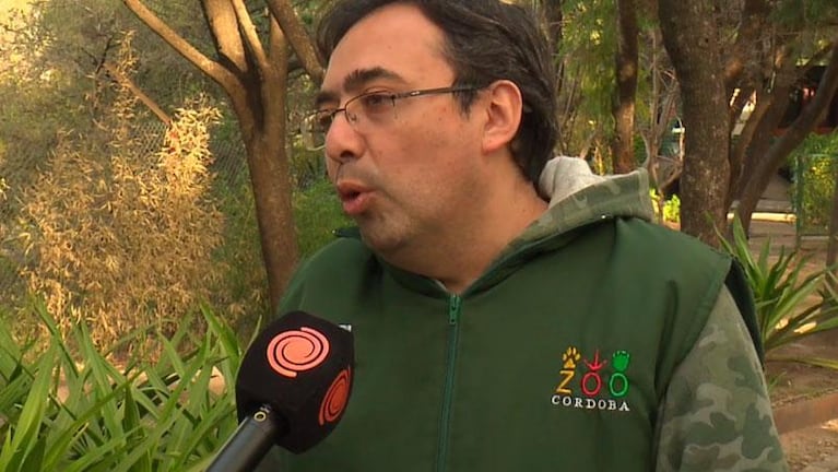 Imputan al director del Zoológico de Córdoba