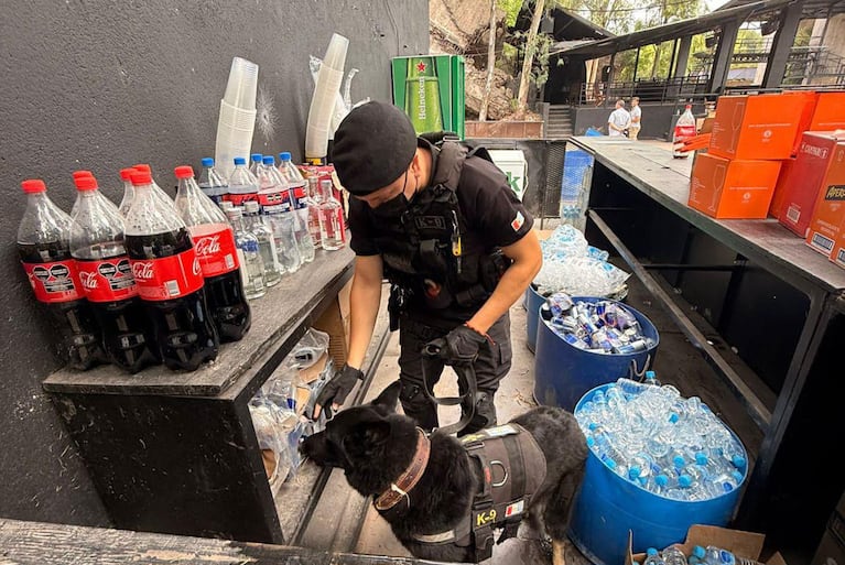 Incautaron drogas en una fiesta electrónica de Córdoba.