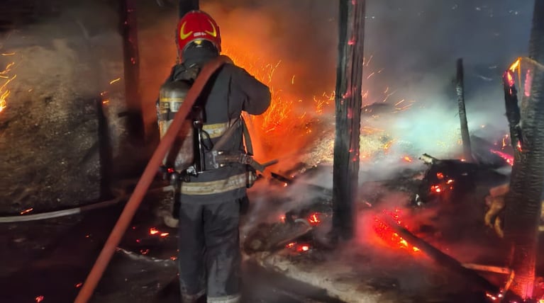 incendio caballos