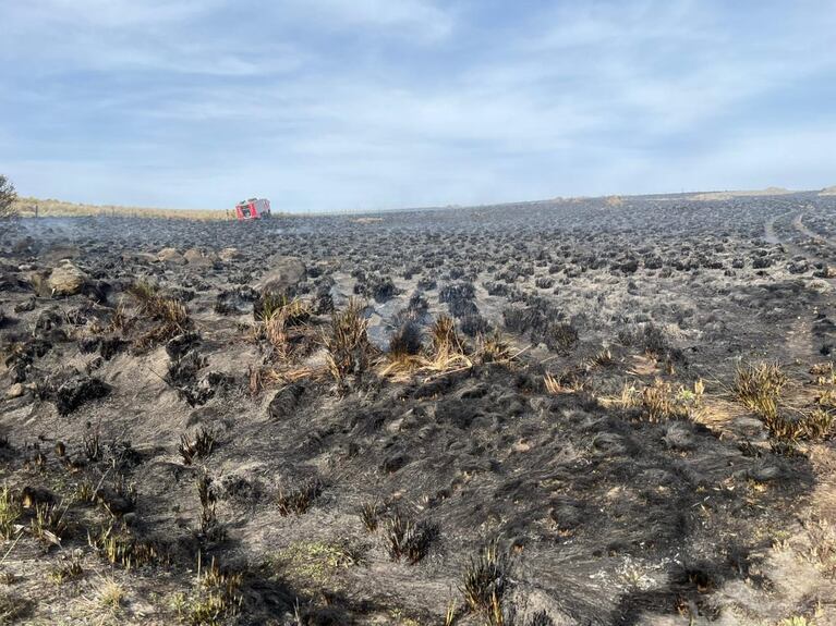 Incendio en la Quebrada del Condorito: evacuados, autos quemados y cientos de hectáreas afectadas