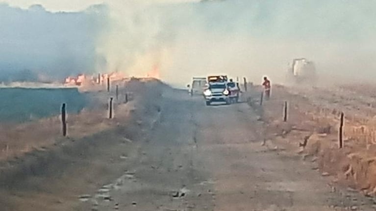 Incendio en Salsipuedes: bomberos buscan evitar que reinicie el fuego