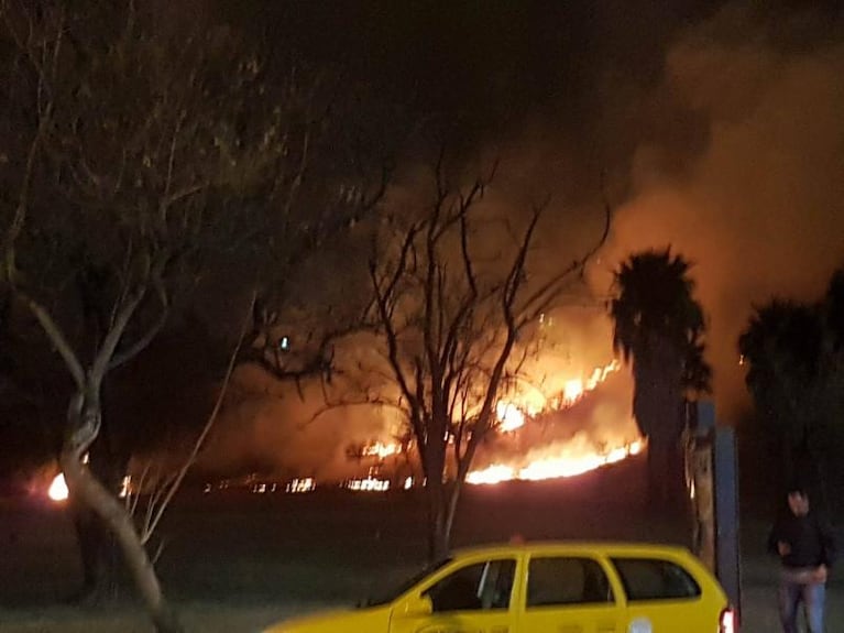 Incendio generó preocupación en el Parque Sarmiento