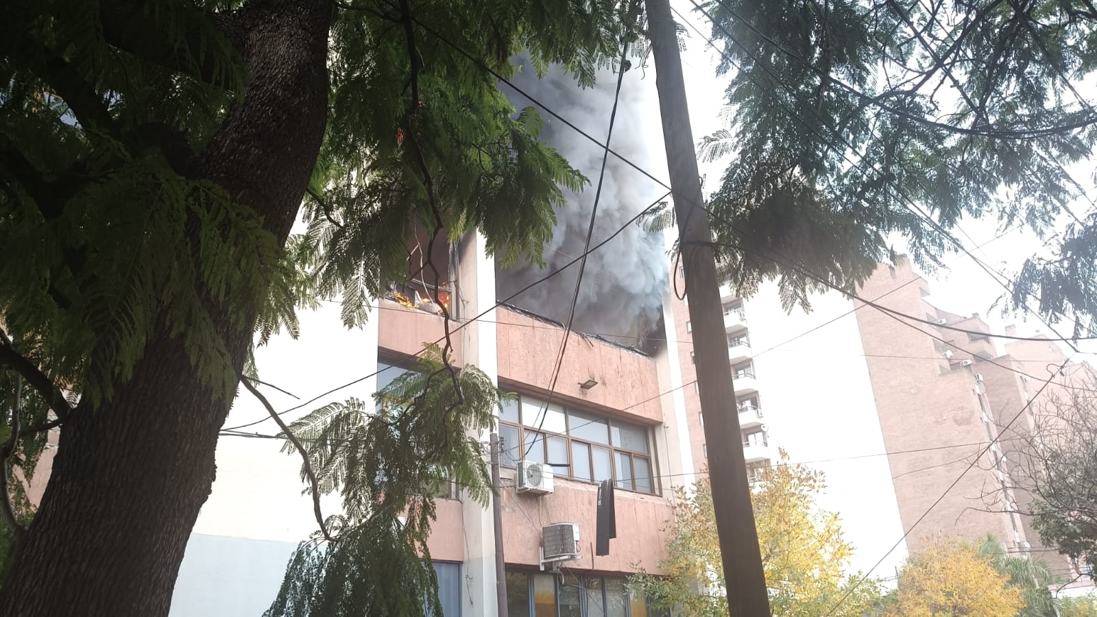 incendio sede apross