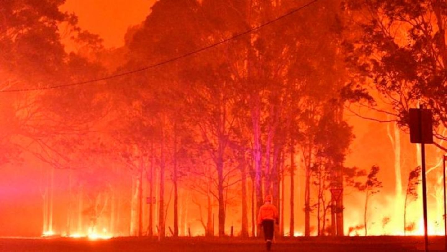 Incendios en Australia: una modelo manda fotos desnuda a quienes donen y ya  juntó un millón de dólares | ElDoce