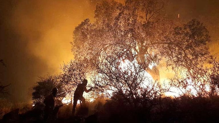 Incendios en Córdoba: combaten focos activos en Tala Cañada y La Granja