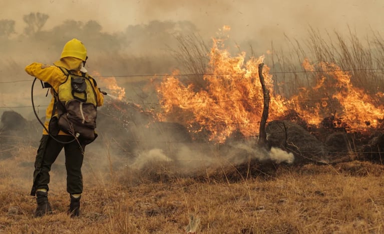 Incendios en Corrientes: la conmovedora foto de un bombero 