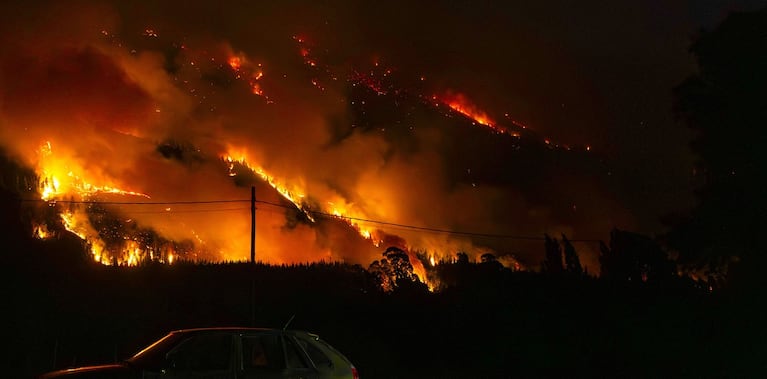 Incendios en la Patagonia (Gentileza Clarín)