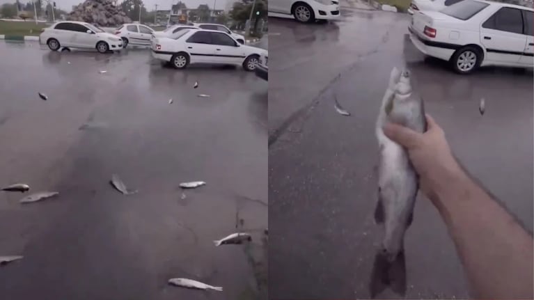 Increíble lluvia de peces en Irán: las imágenes y por qué se produce el fenómeno