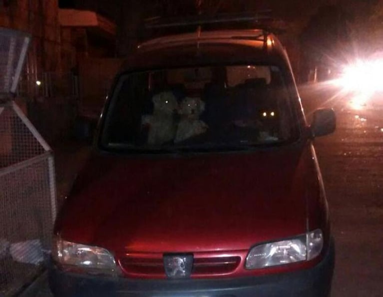 Indignación en Carlos Paz por cuatro perros encerrados en un auto