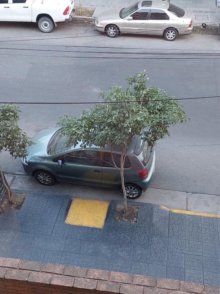 Indignado, le sacó fotos a los autos que tapan la rampa de ingreso a su edificio