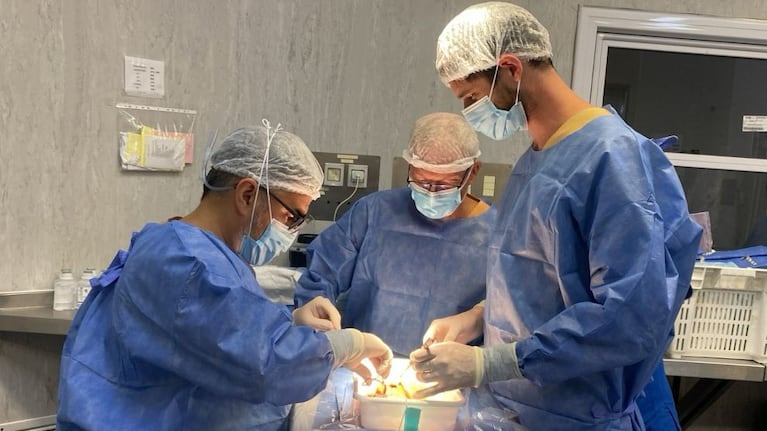 Inédito: en Córdoba se realizó el primer trasplante renal con tecnología de avanzada