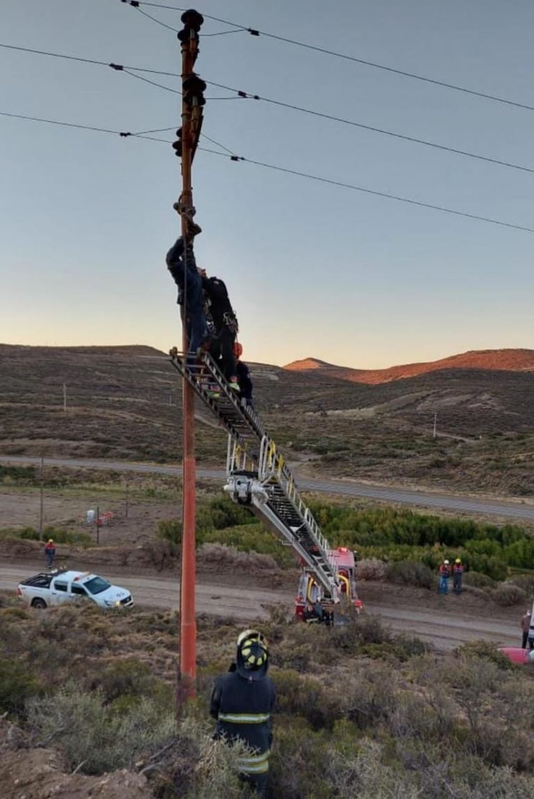 Insólito: quiso robar cables en la ruta, se atascó y debieron rescatarlo