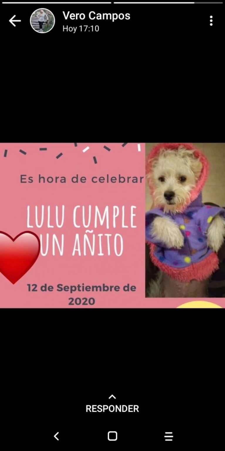 Inspectora realizó una fiesta para su perro y renunció el titular del COE de Villa Giardino