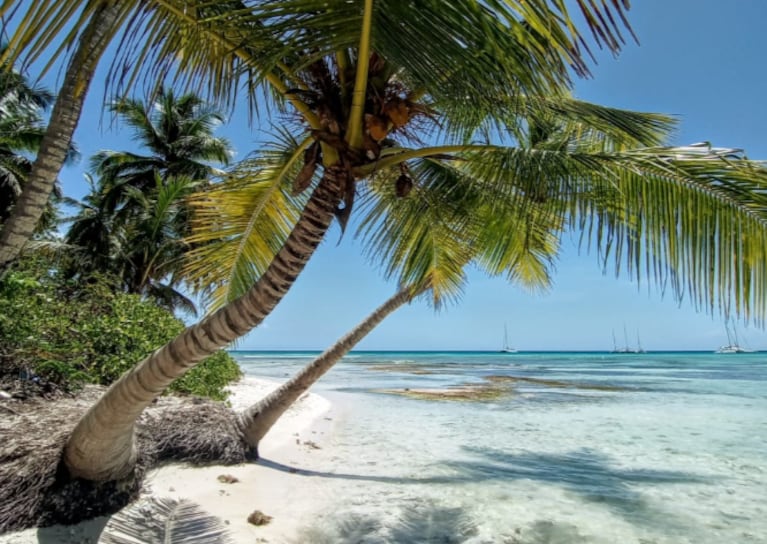 Intendenta dijo que estaba enferma, pero vino a Córdoba y voló un paraíso en el Caribe