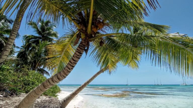 Intendenta dijo que estaba enferma, pero vino a Córdoba y voló un paraíso en el Caribe