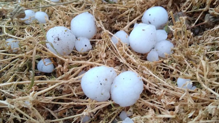 Intensa pedrada en Berrotarán. Foto: @MeteoMat