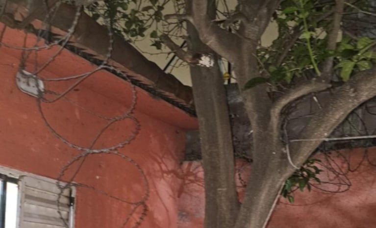 Intentó robar en una casa, cayó desde la medianera y quedó enganchado en un alambre de púa: lo atraparon