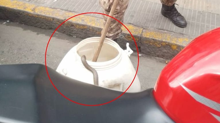 Intervino un agente de Patrulla Rural.