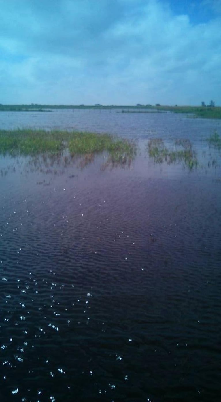 Inundaciones: caminos convertidos en ríos ¡y con peces!