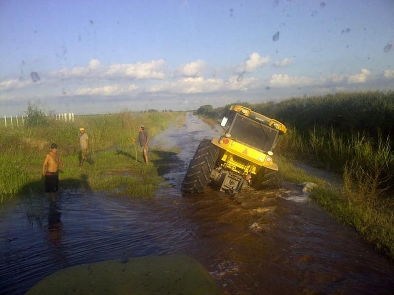 Inundaciones: caminos convertidos en ríos ¡y con peces!