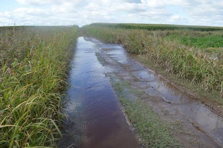 Inundaciones: caminos convertidos en ríos ¡y con peces!