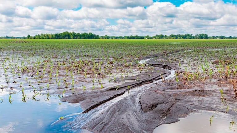 Inundaciones en campos bonaerenses.