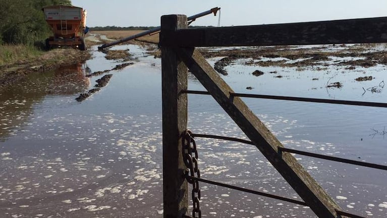 Inundaciones: los campos de Córdoba siguen bajo el agua