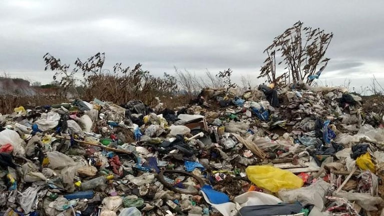 Investigan a seis embarazadas por el crimen del bebé con síndrome de Down arrojado a la basura