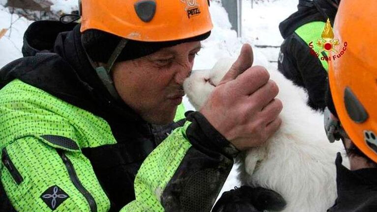 Italia: hallan a tres perros entre las ruinas del hotel tras el alud