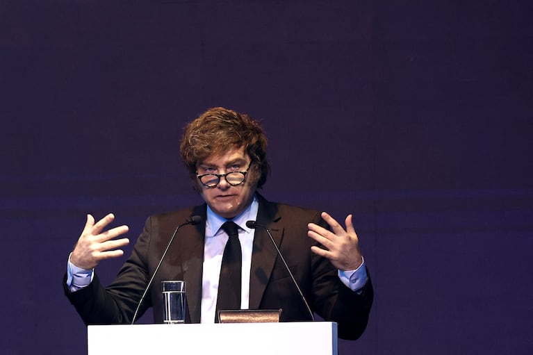 Javier Milei durante la exposición ante el Congreso de IAEF en Buenos Aires.